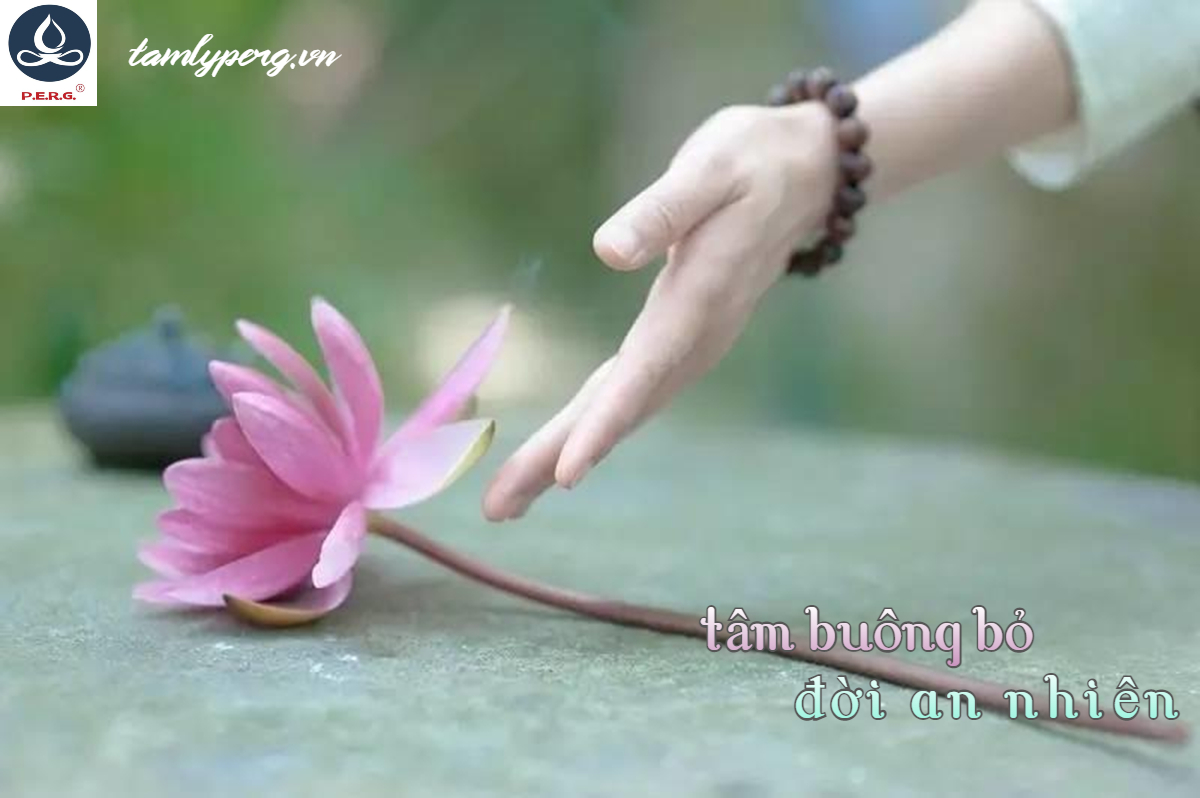 TÂM BIẾT BUÔNG BỎ, ĐỜI MỚI AN NHIÊN